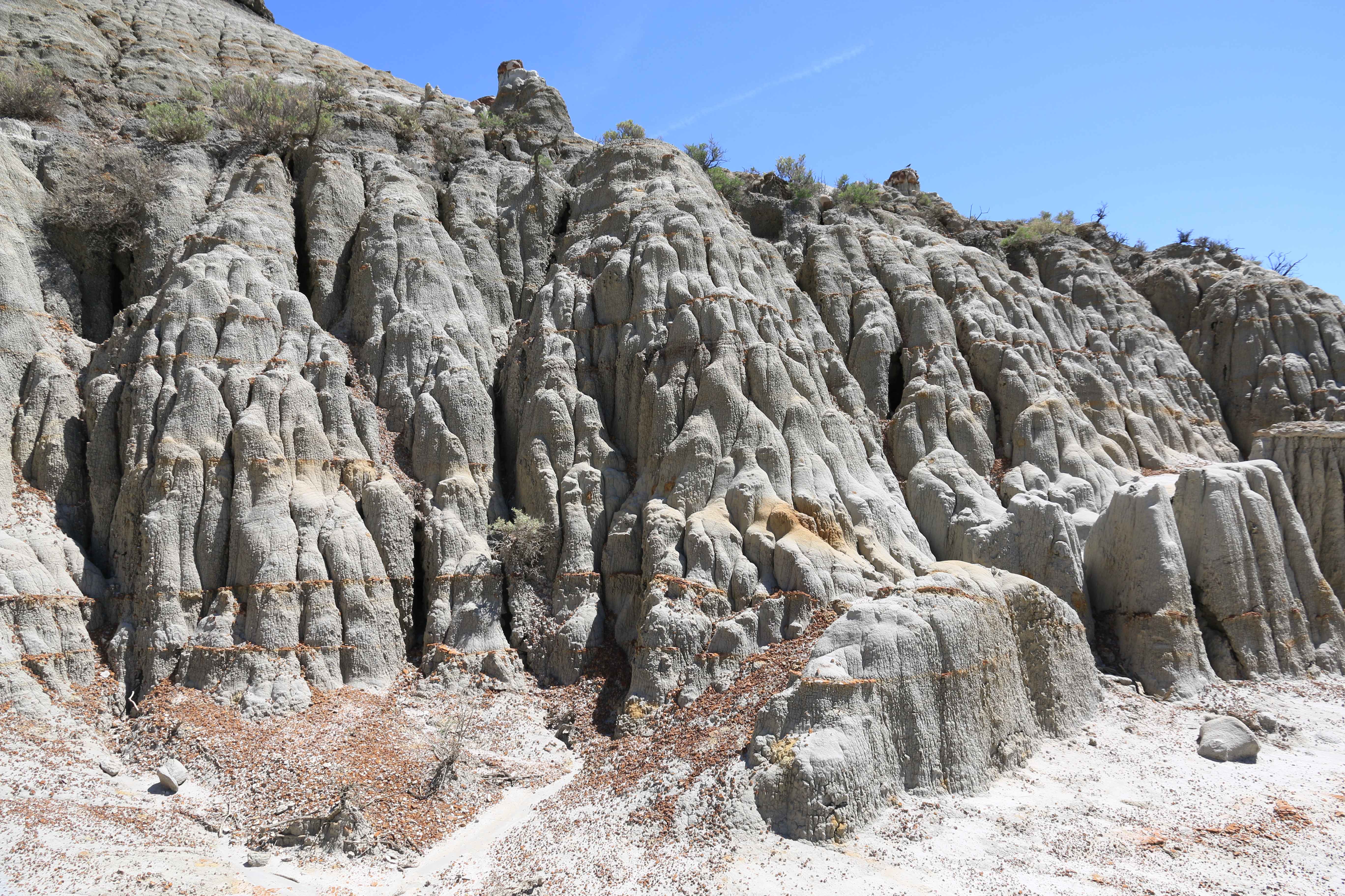 Theodore Roosevelt NP